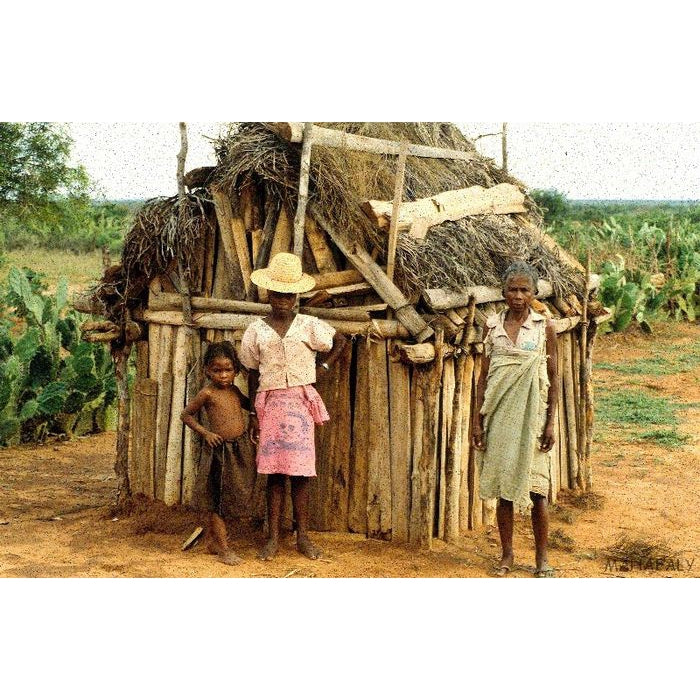 Mahafaly AloAlo Funery Pole Fragment Long Horn Zebu Steer, Madagascar #742