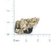 Black Tourmaline Crystals in Quartz Specimen #85
