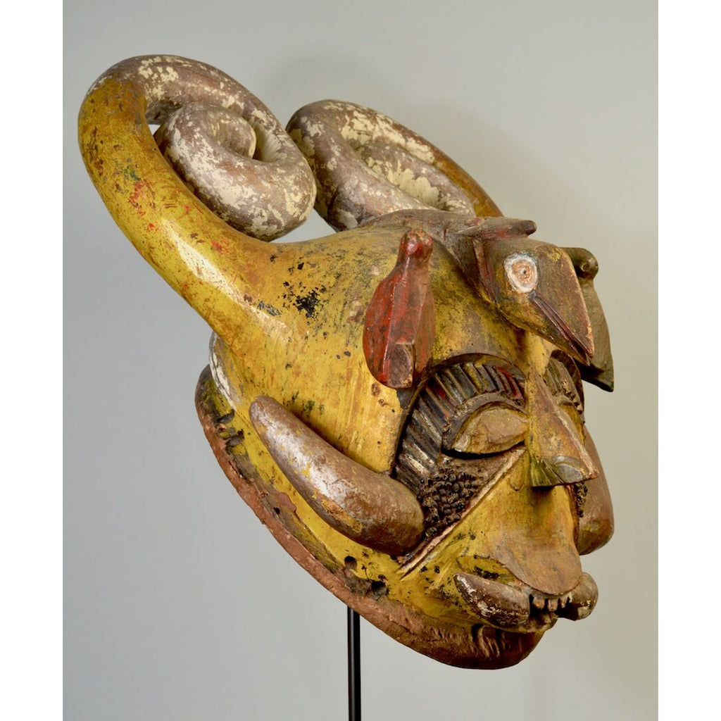 Igala Ibegwu Mask with Horns, Nigeria #955