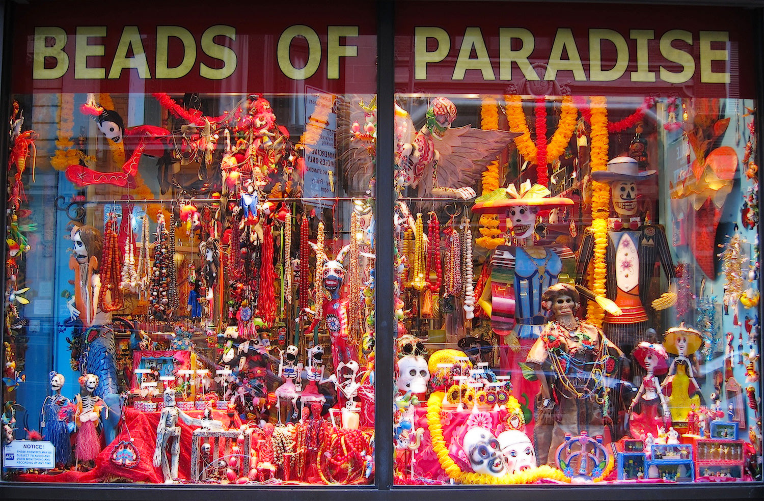 Day of The Dead October 2013