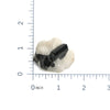 Black Tourmaline Crystals in Quartz Specimen #84