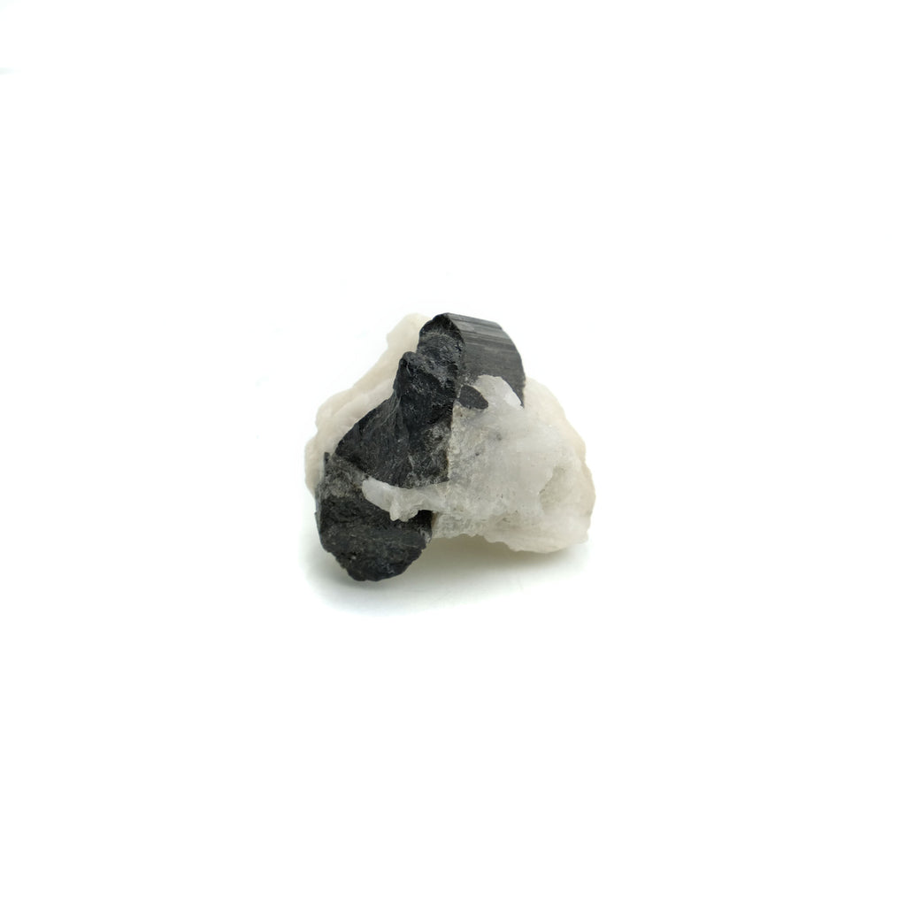 Black Tourmaline Crystals in Quartz Specimen #84