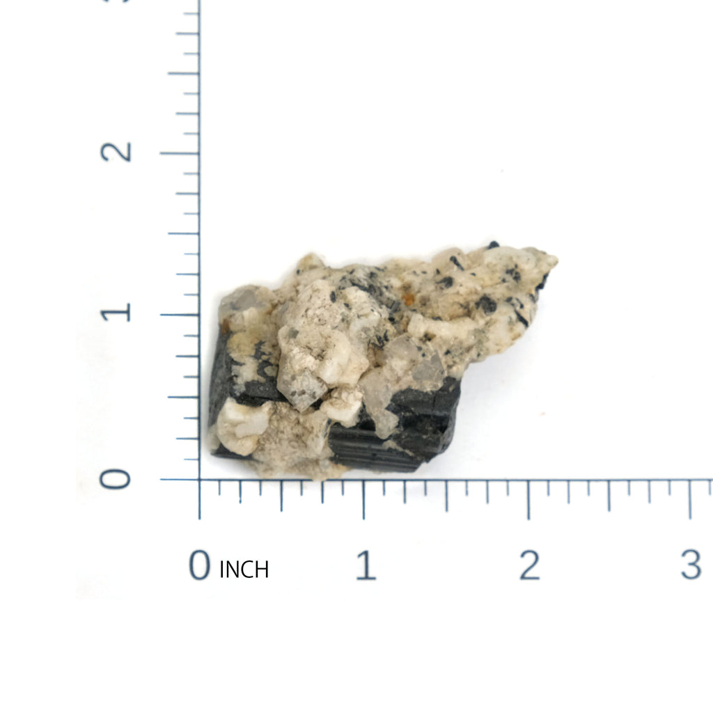 Black Tourmaline Crystals in Quartz Specimen #85