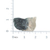 Black Tourmaline Crystals in Quartz Specimen #86