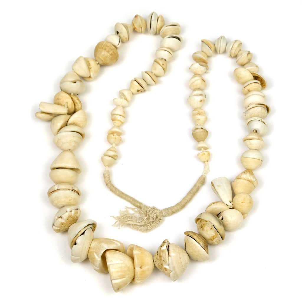 19th Century Conus Dowry Shell Beads