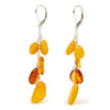 Amber Earrings with Sterling Silver Latch Back
