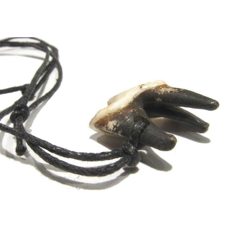 Elk Tooth Necklace