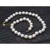 Fresh Water Pearl Choker Necklace with Gold Filled Trigger Clasp