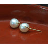 Fresh Water Pearl Post Earrings with Gold Filled Ear Wire