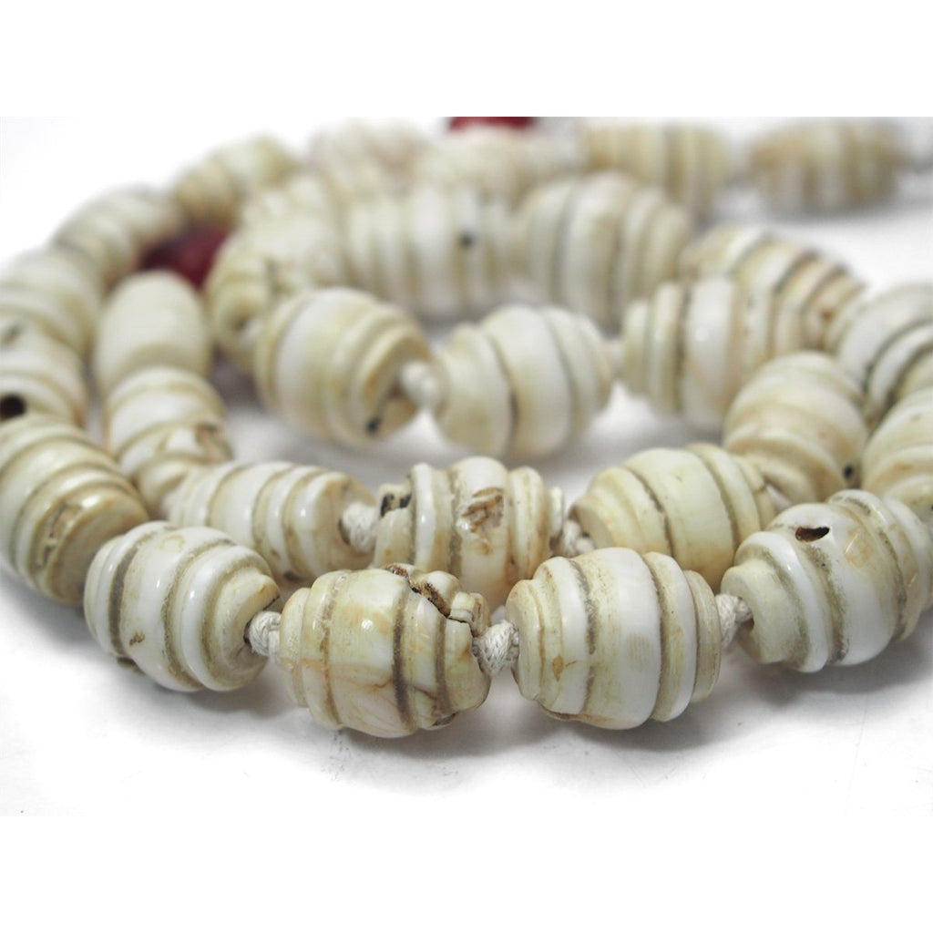 Arca Shell "Sacred Shank" Carved Barrel Shape Heirloom Beads