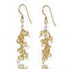 Citrine Earrings with Gold Filled French Ear Wires