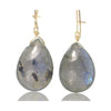 Labradorite Earrings with Gold Filled Kidney Ear Wires