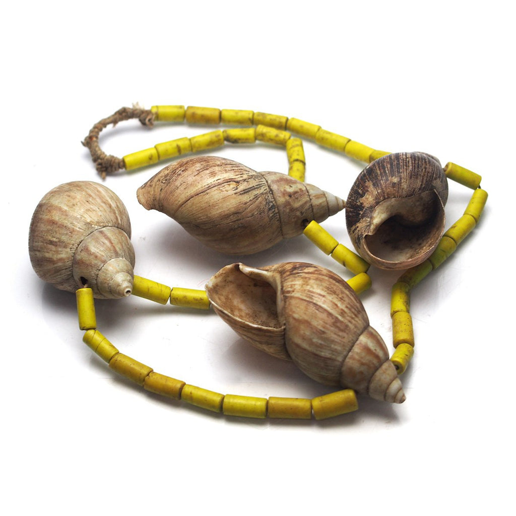 Naga Shell Heirloom Beads
